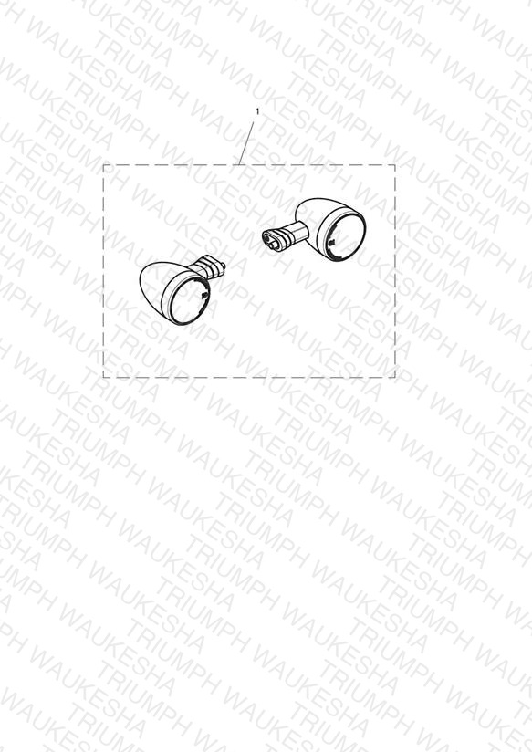 Multifunction Lamp Kit, Type 2