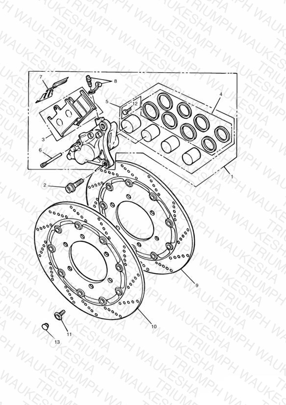 Front Brake Caliper and Disc Daytona 900/1200