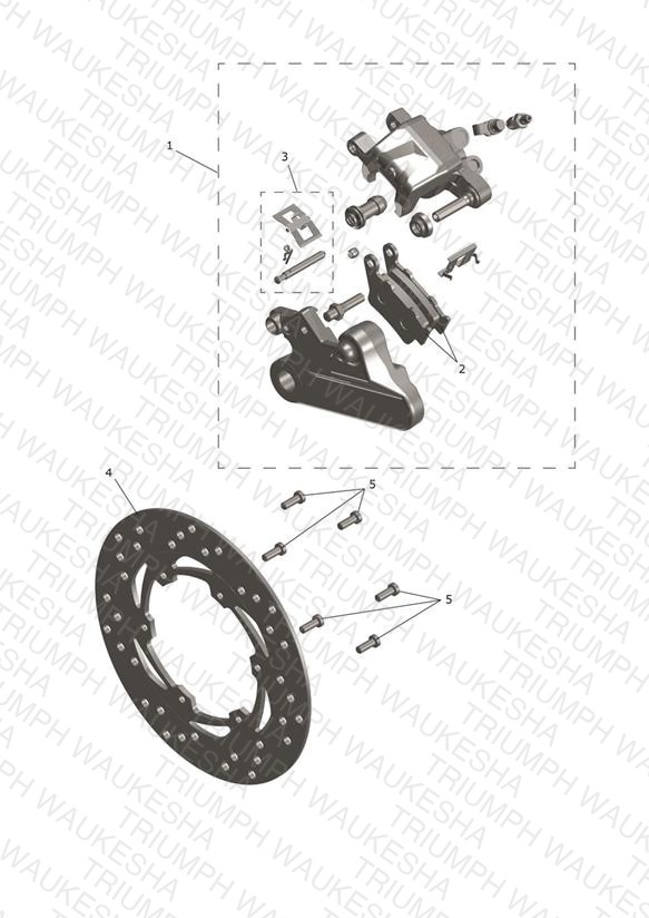 Rear Caliper & Disc