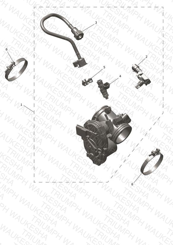 Throttle Bodies