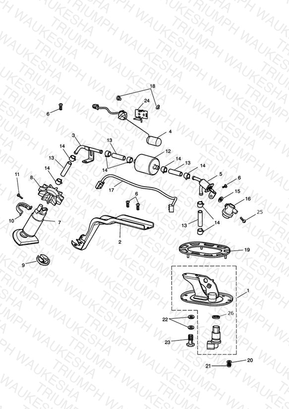 Fuel Pump & Filter