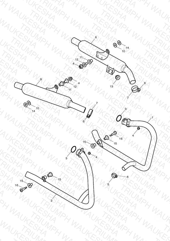 Exhaust System