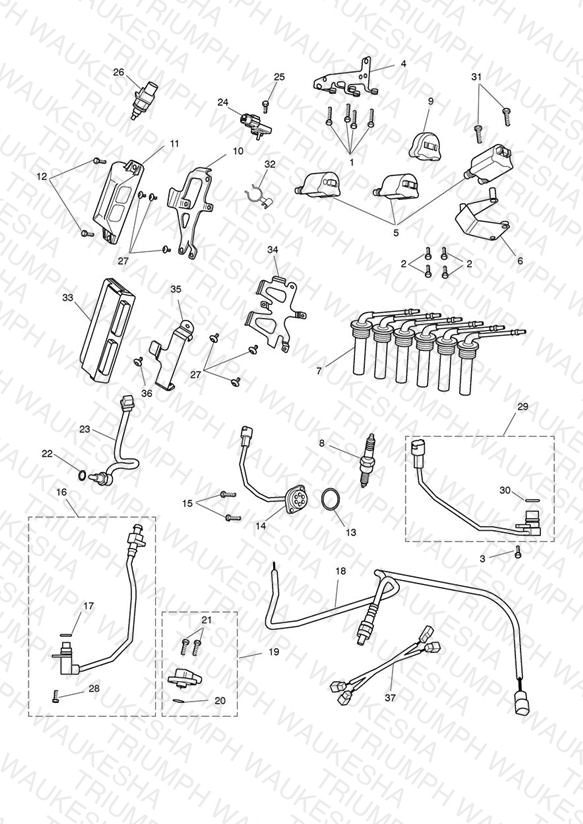 Engine Management System