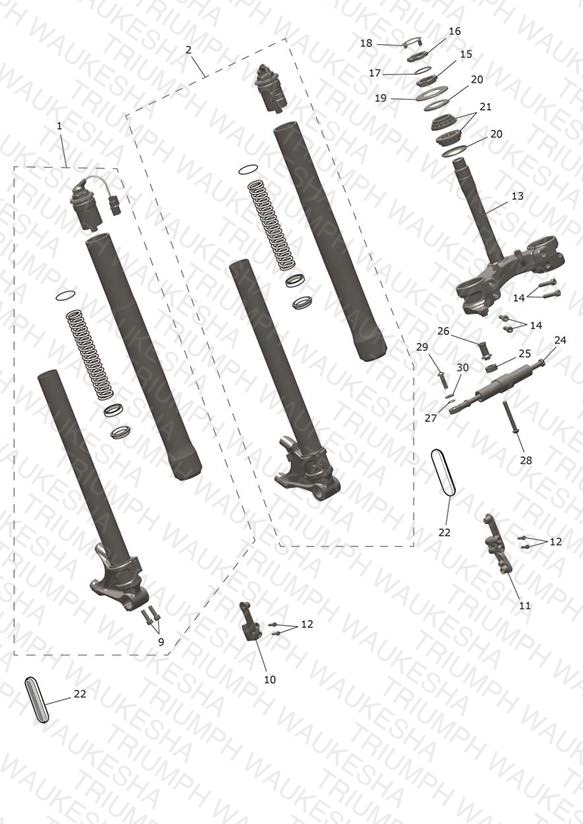 Front Forks & Lower Yoke