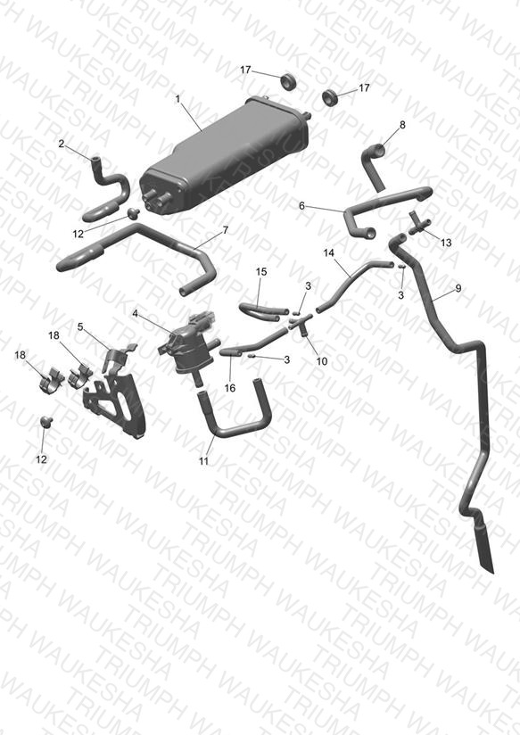 Evap System