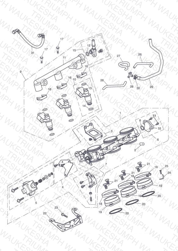 Throttles, Injectors and Fuel Rail