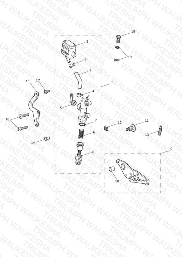 Rear Brake Master Cylinder, Reservoir & Pedal