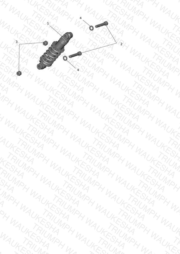 Rear Suspension Unit