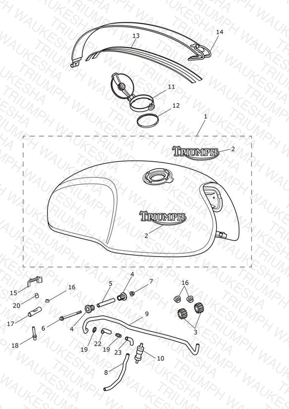 Fuel Tank- Competition Green, Final Edition