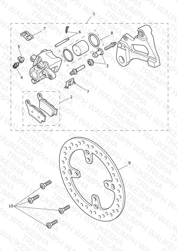 Rear Brake Caliper & Discs