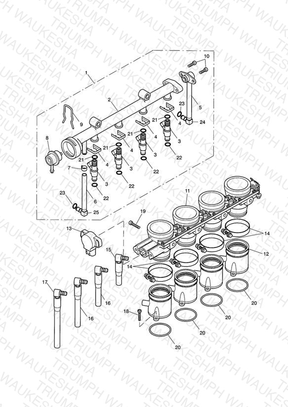 Throttles/Injectors and Fuel Rail > Vin 211242