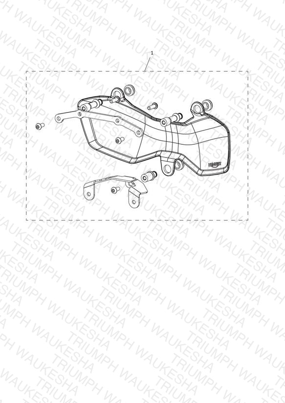 Headlight Guard Kit