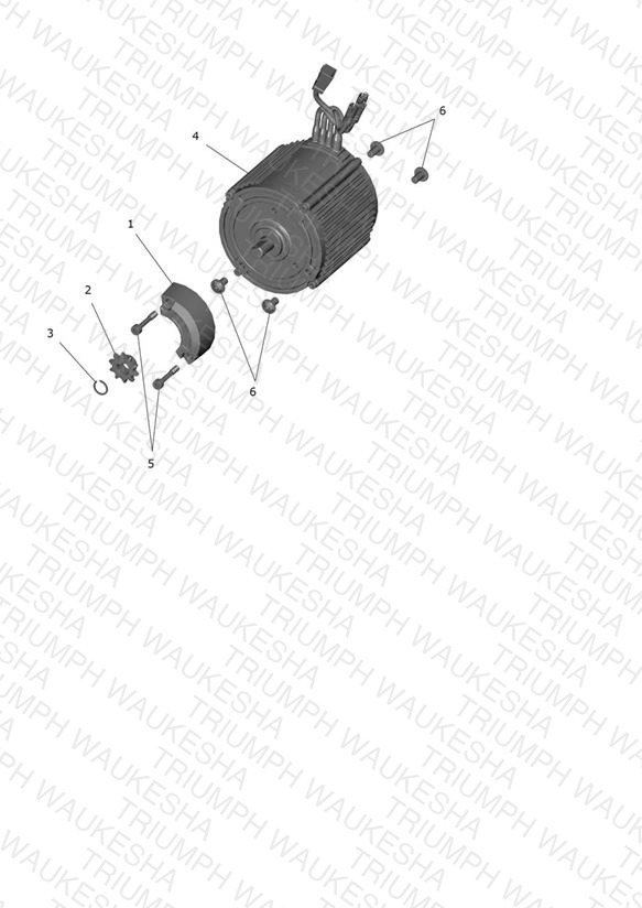 Motor