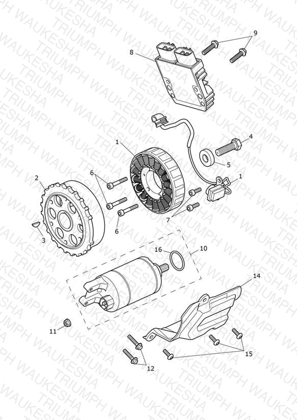 Starter & Alternator