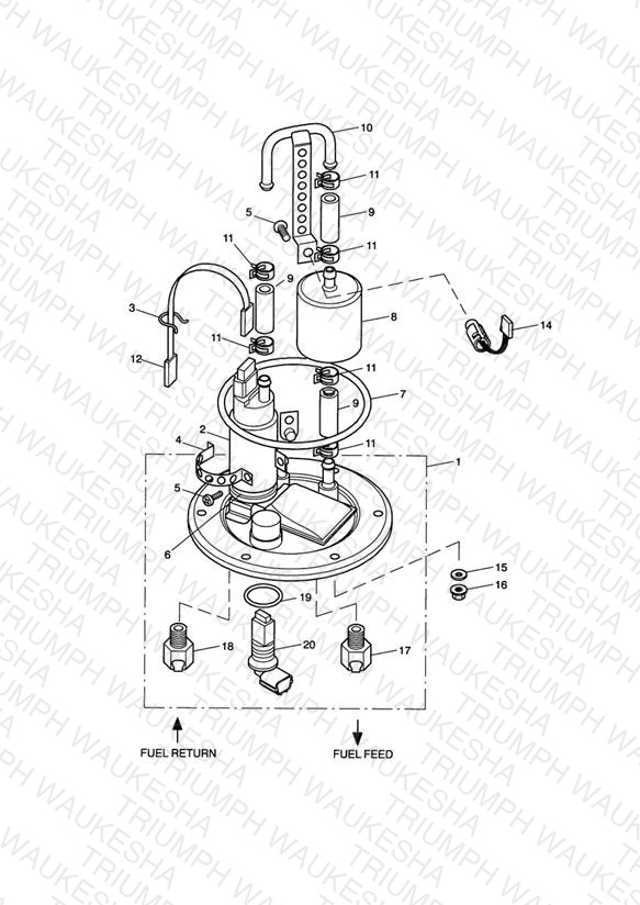 Fuel Pump and Filter