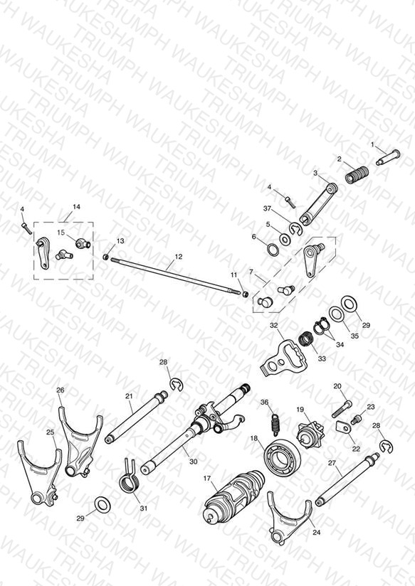 Gear Selectors & Pedal