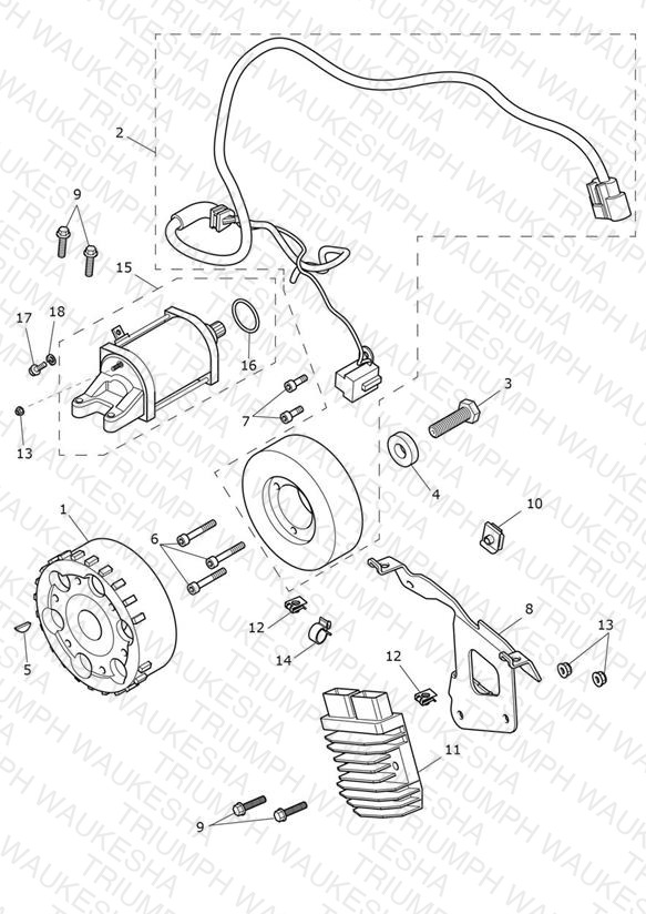 Starter & Alternator