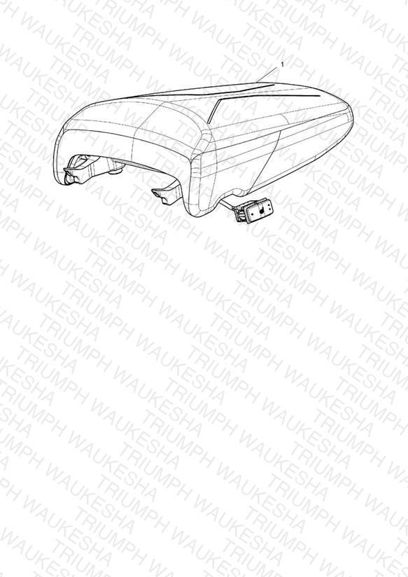 Seat, Heated, Pillion - Aragon Edition Only