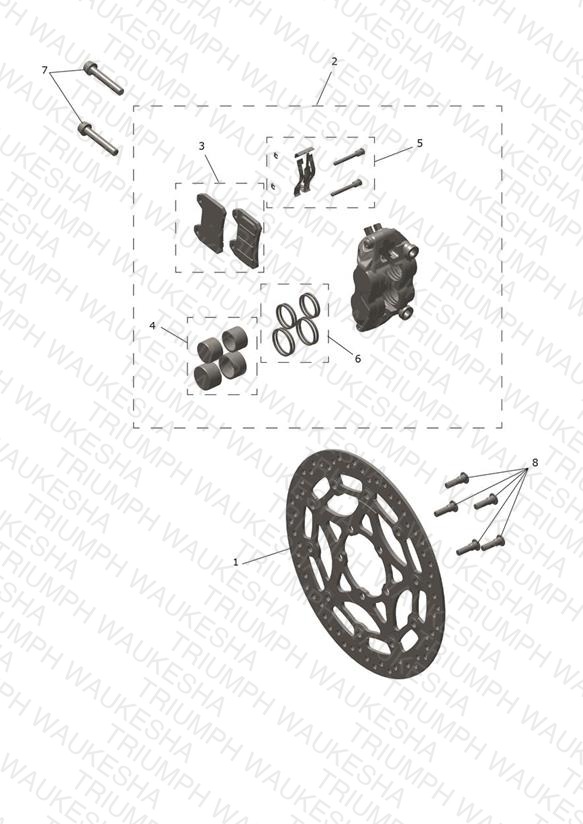 Front Brake Caliper & Disc