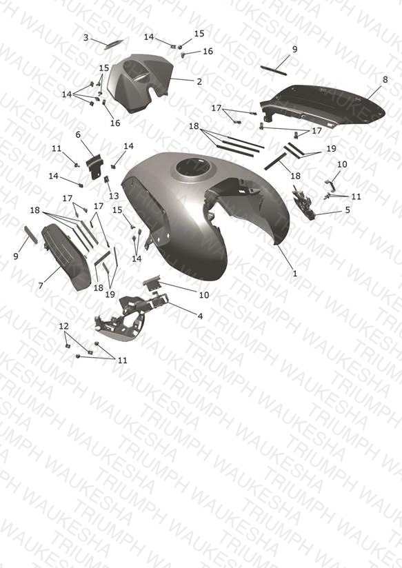Fuel Tank Bodywork