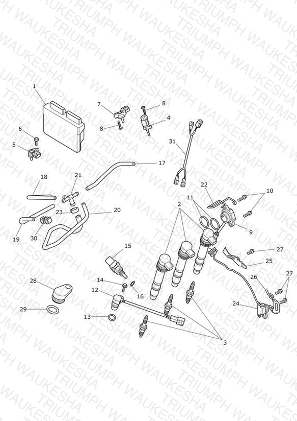 Engine Management System
