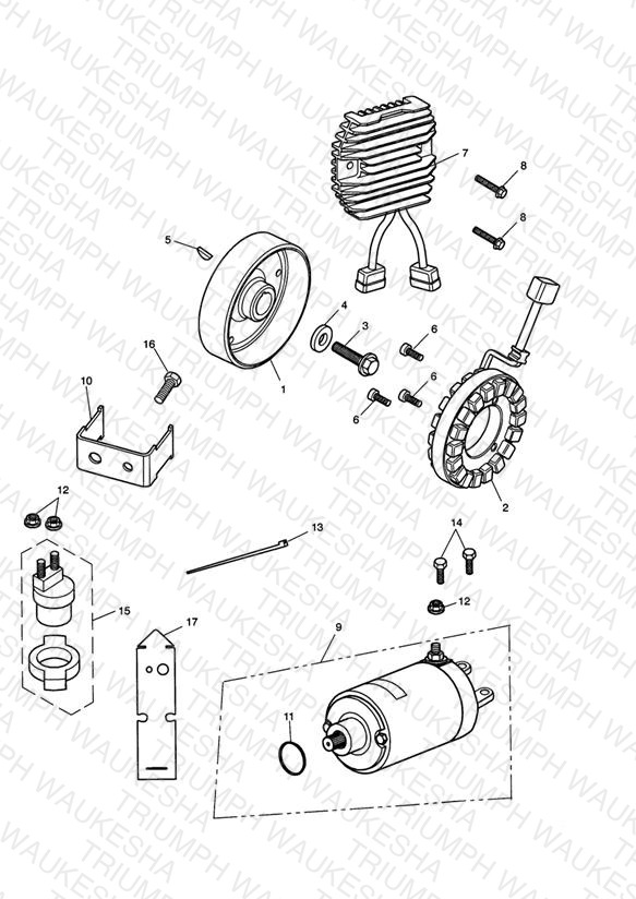 Starter & Alternator