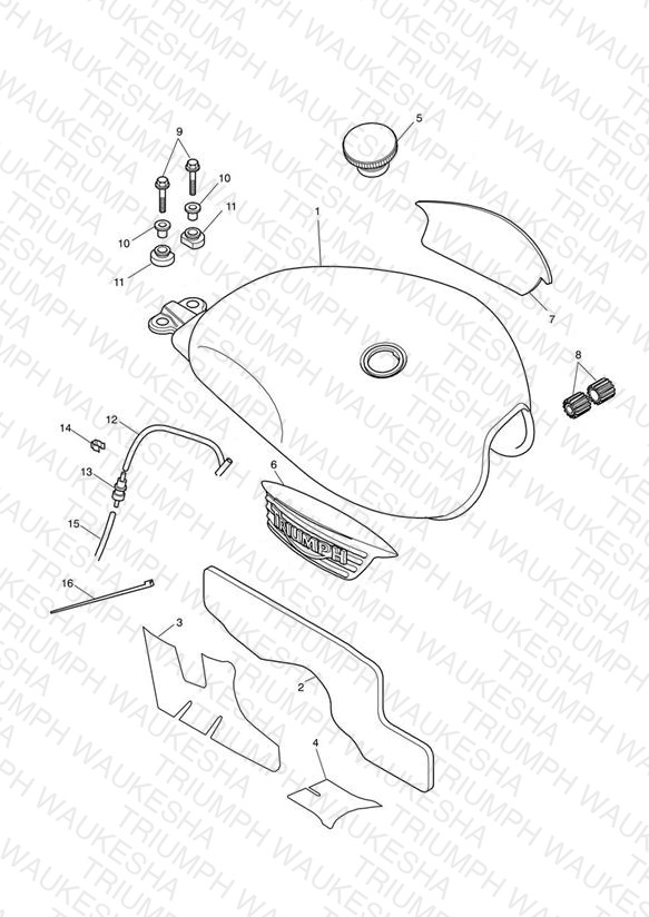 Fuel Tank & Fittings