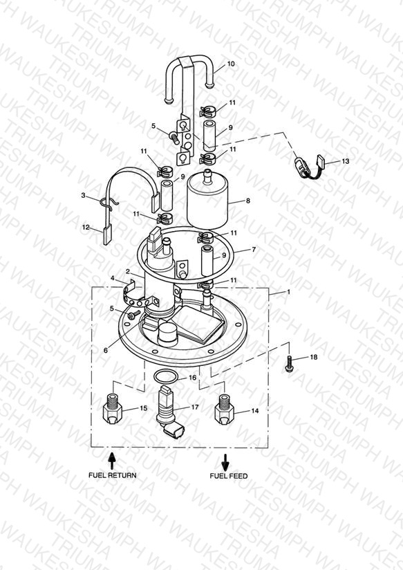 Fuel Pump and Filter > Vin 201541