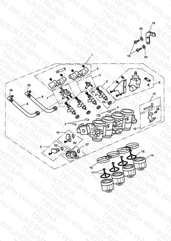Throttles/Injectors and Fuel Rails