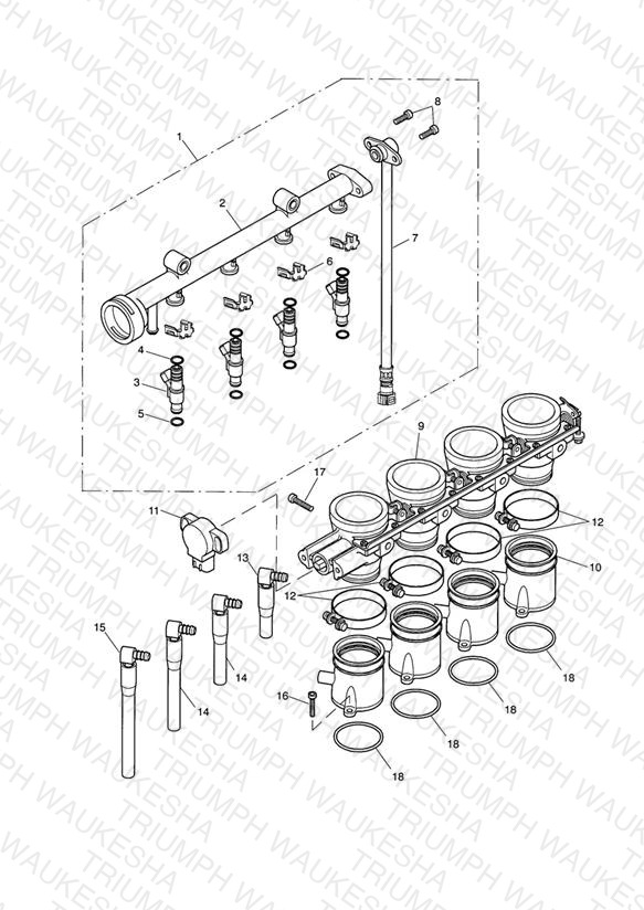 Throttles/Injectors and Fuel Rail Vin 211243 >