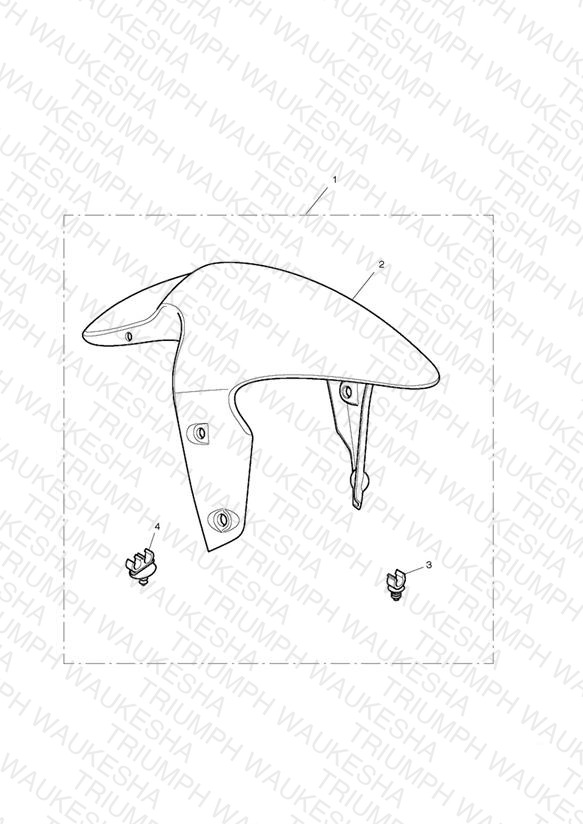 Front Mudguard Kit, Carbon Fibre