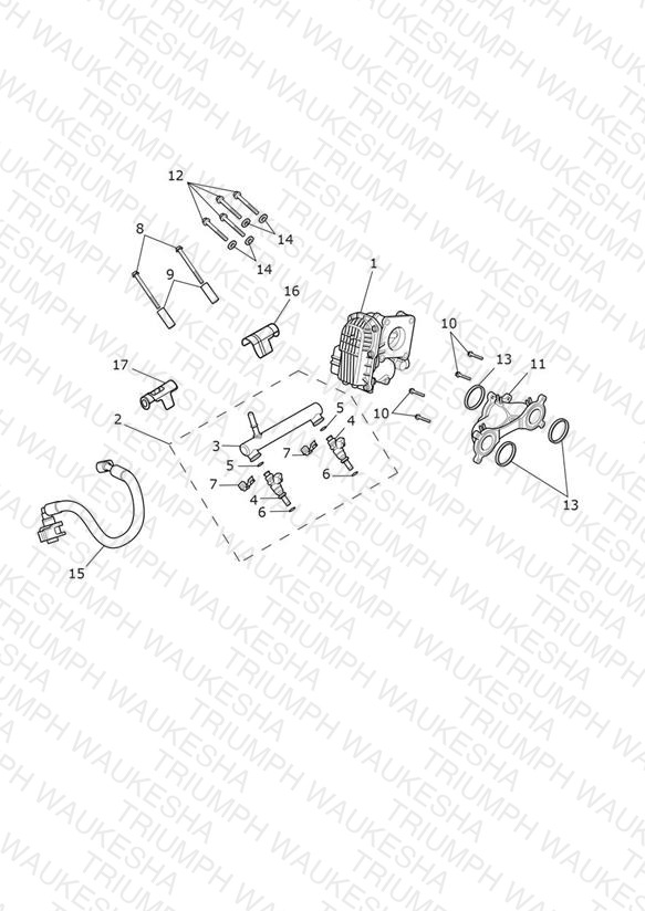 Throttle Bodies