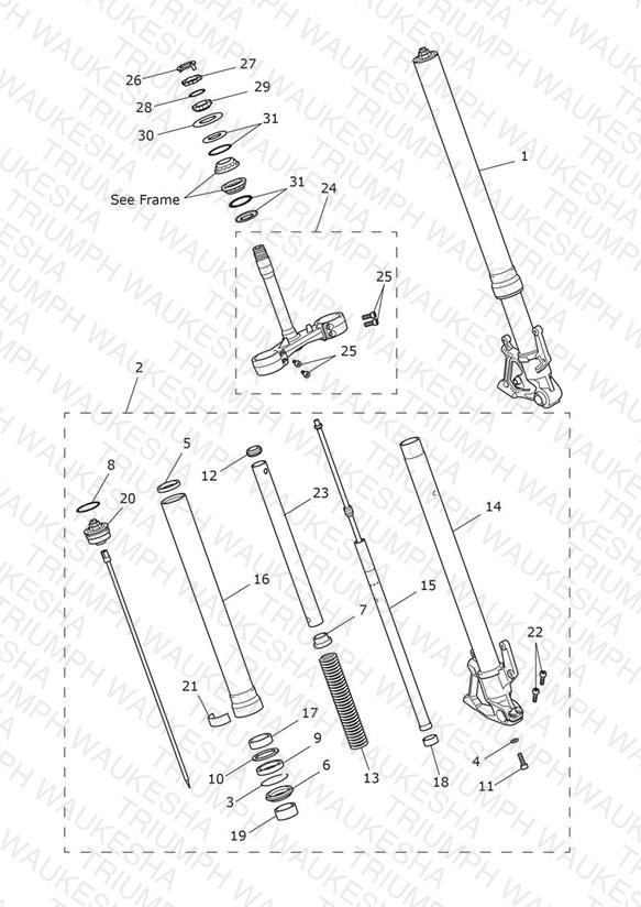 Front Forks & Lower Yoke Assy