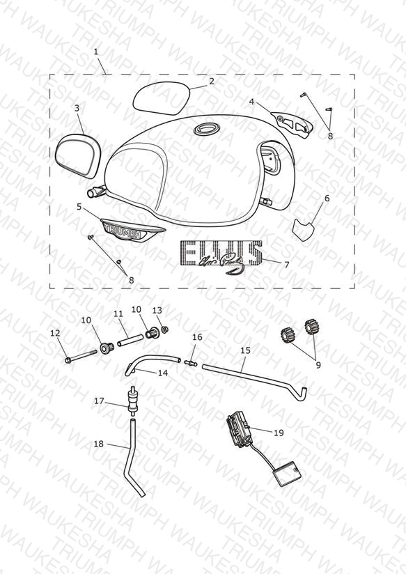 Fuel Tank - T120 Elvis Edition