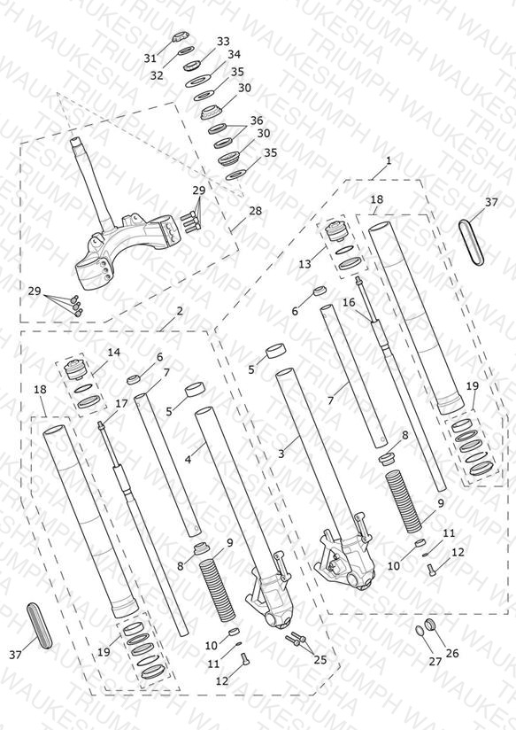 Front Forks & Lower Yoke