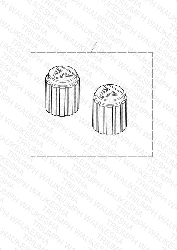 Valve Cap Kit, Laser Etch, Black