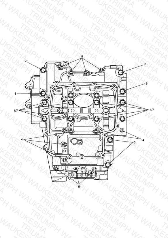Crankcase Bolts