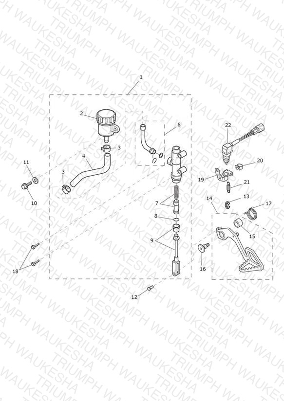 Rear Brake Master Cylinder, Reservoir & Pedal