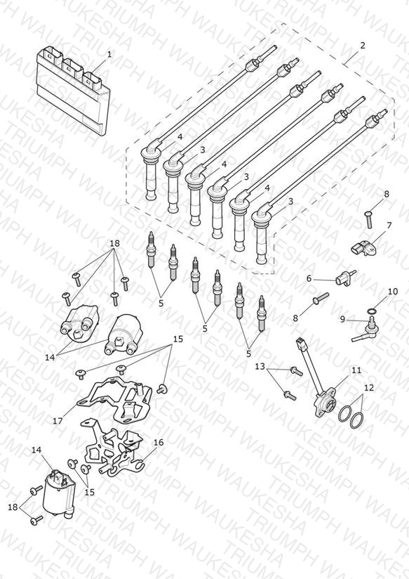 Engine Management System