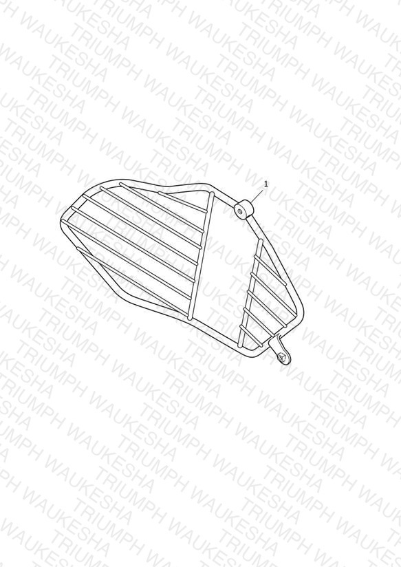 Sari Guard