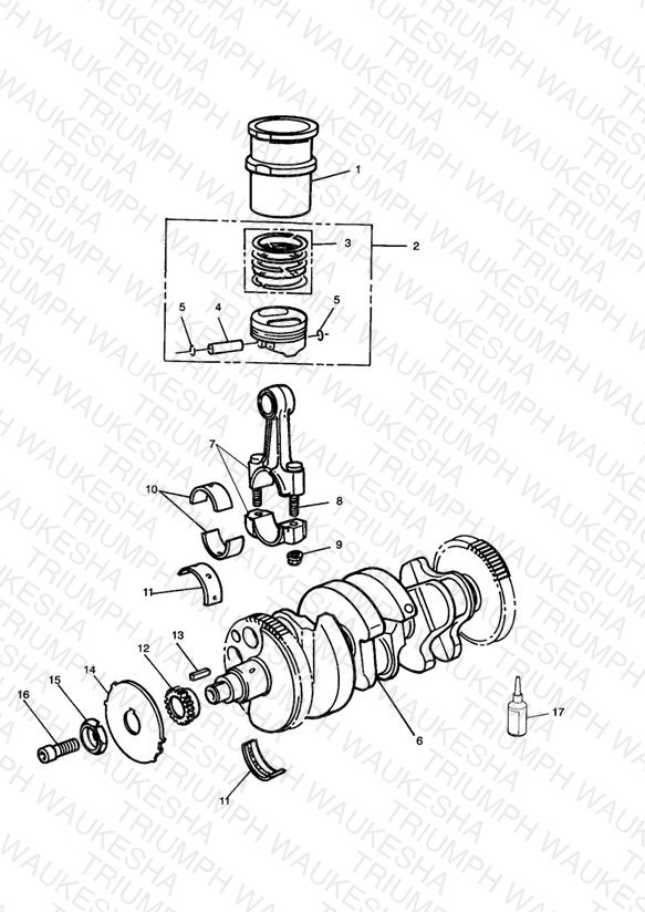 Crankshaft/Conn Rod/Pistons and Liners
