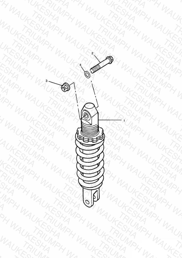 Rear Suspension Unit
