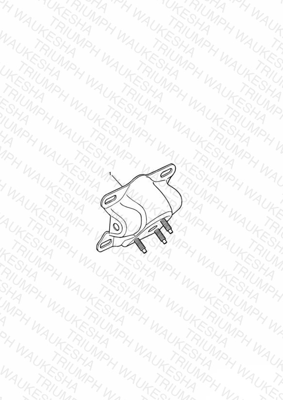 Number Plate Bracket, Chrome