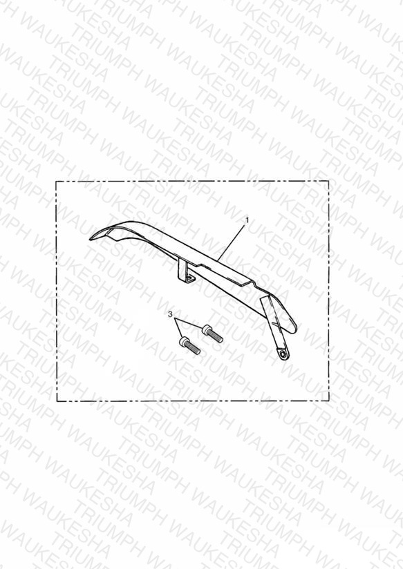 Chrome Chain Guard