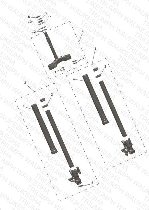 Front Forks & Lower Yoke Assy