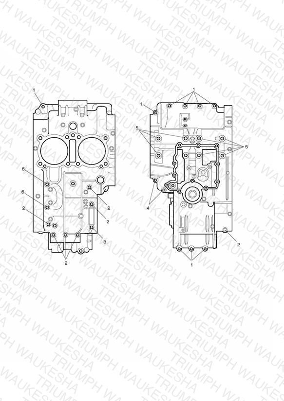 Crankcase Bolts