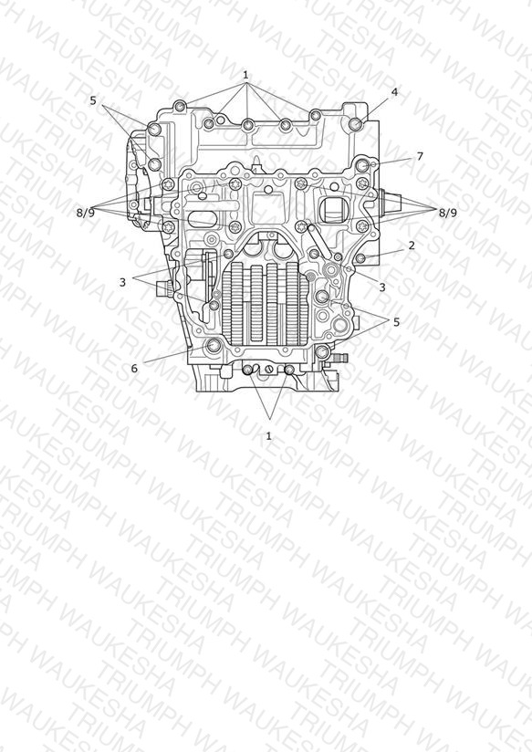 Crankcase Bolts