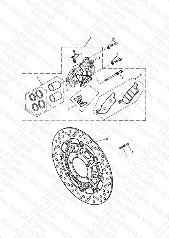 Front Brake Caliper & Discs