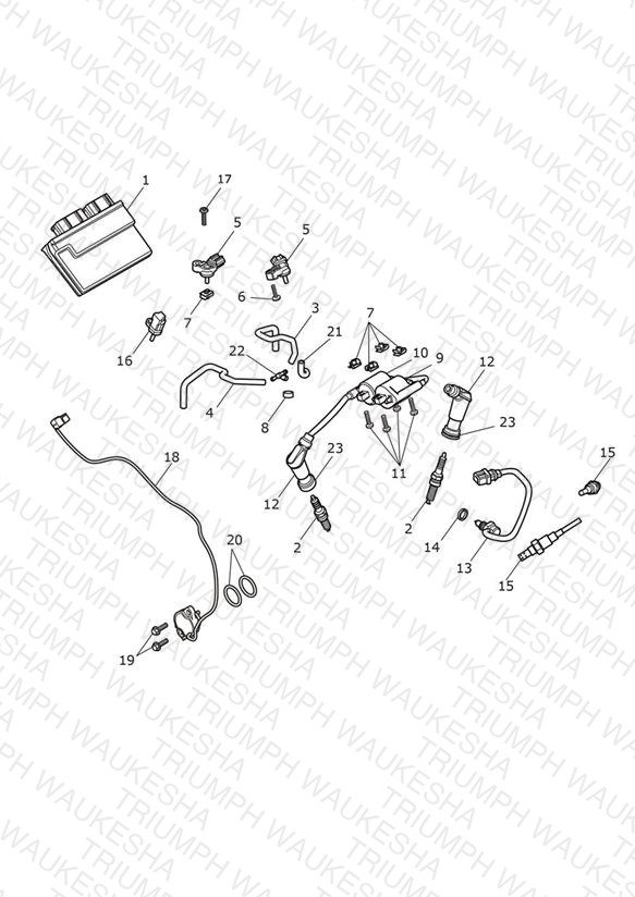 Engine Management System