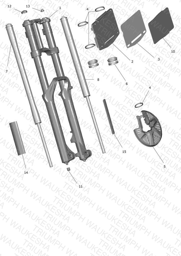 Front Forks & Lower Yoke